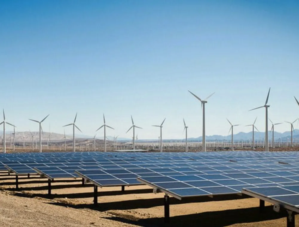 New-Energy Power Special Industrial Profiles