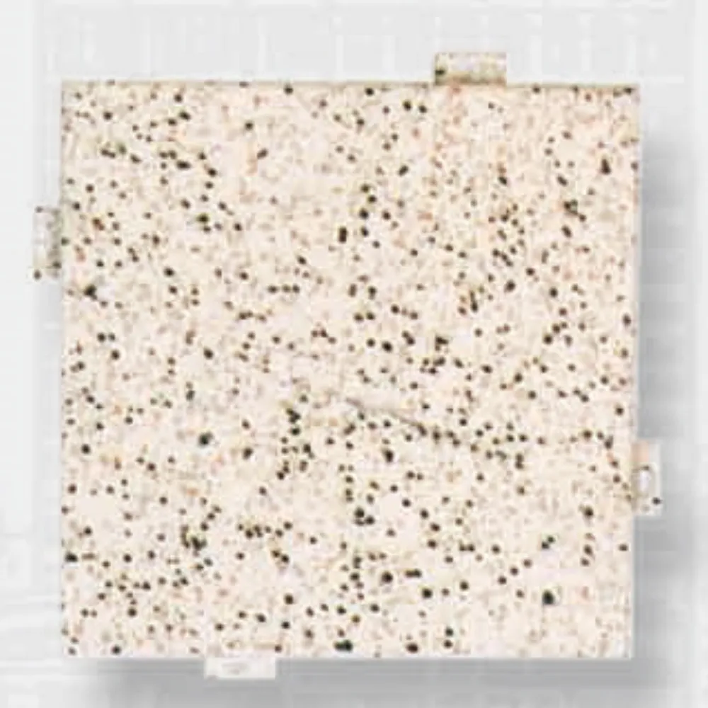 Granite-Imitation Aluminum Panel (2)
