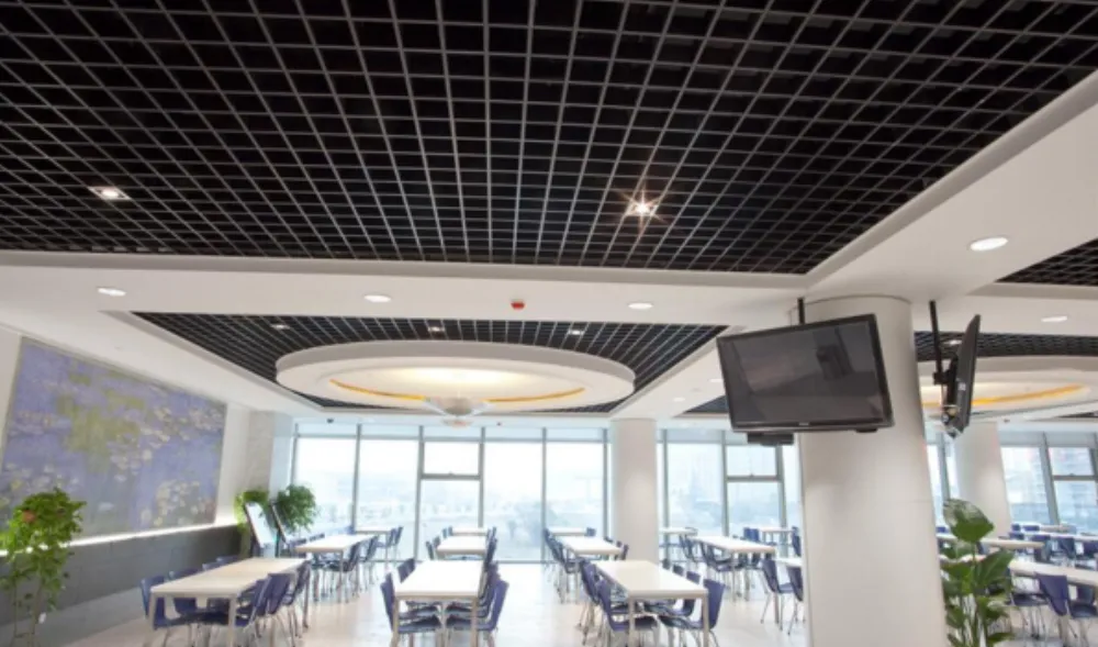 Aluminum Grid Ceiling Panel
