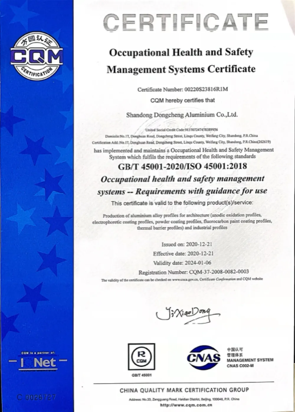 ISO 45001 Occupational Health and Safety Management Systems