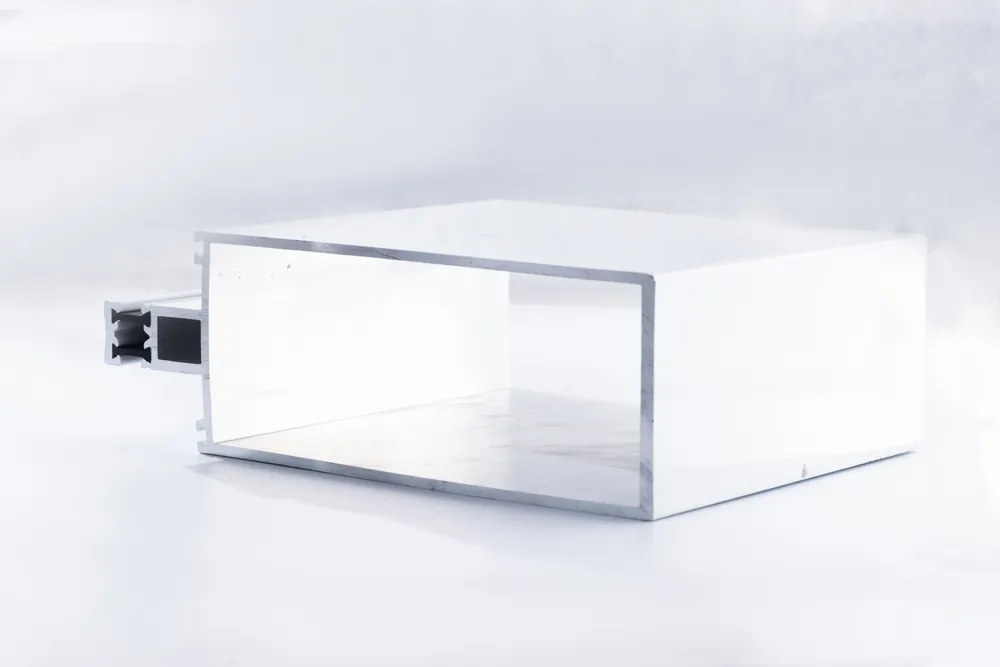 Curtain Wall Profile CW1