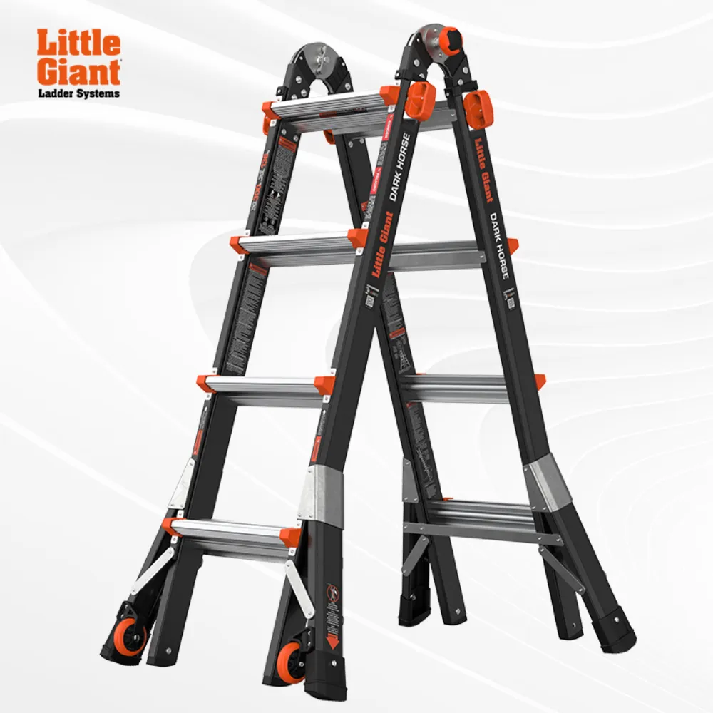DARK HORSE 2.0 series ladder