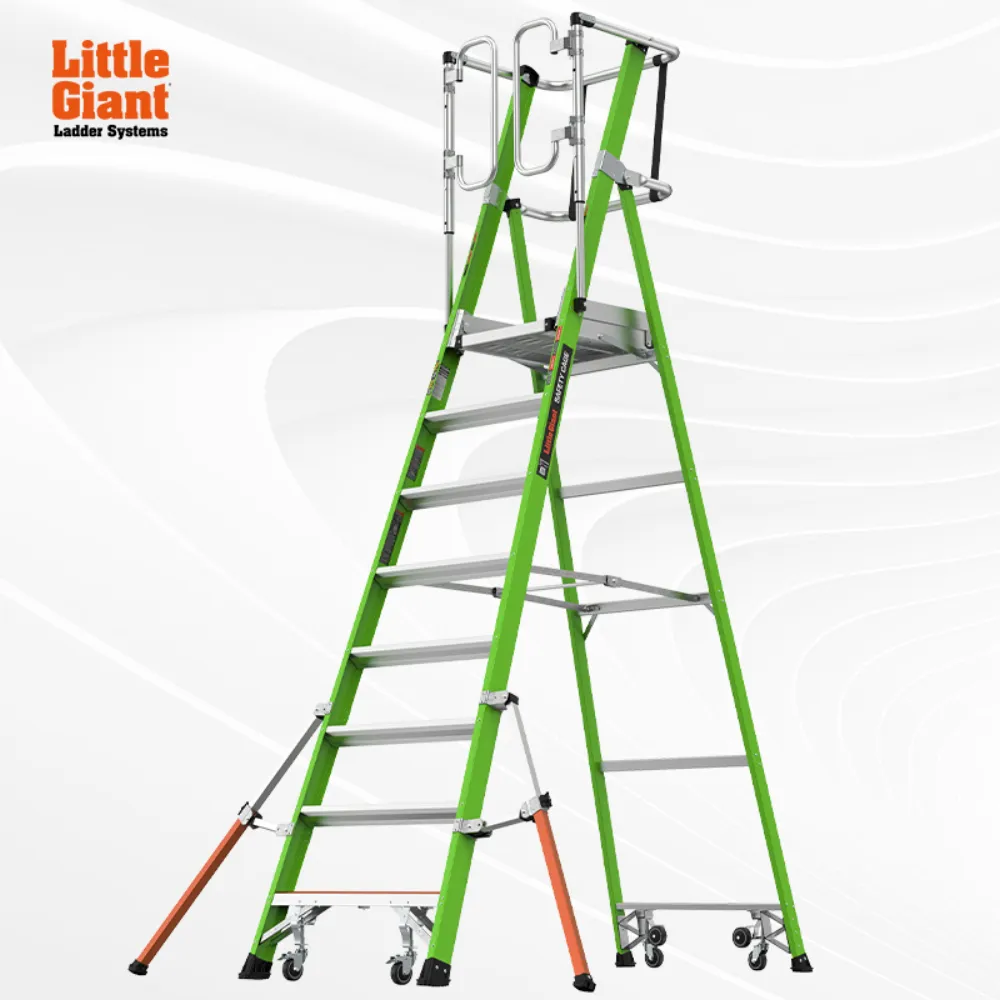 CAGE safety cage ladder series
