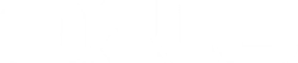 Zhangjiagang Dongsheng Aluminum logo